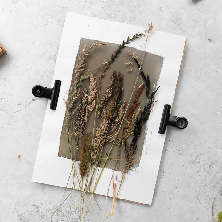 The Wild Darkroom – wholesale DIY craft kit – Cyanotype Printing Paper A43