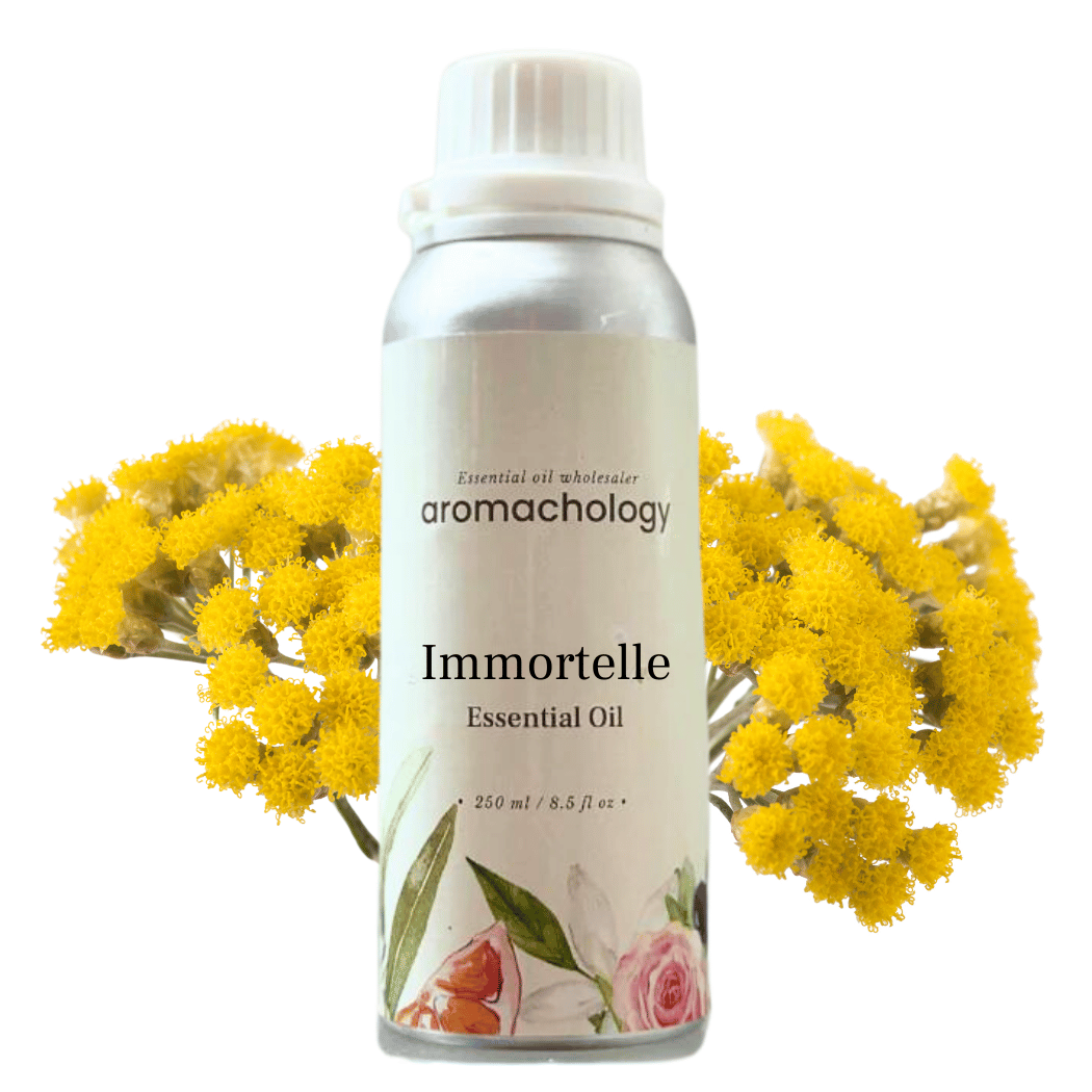 Aromachology - Wholesale Essential Oil - Immortelle Essential Oil0