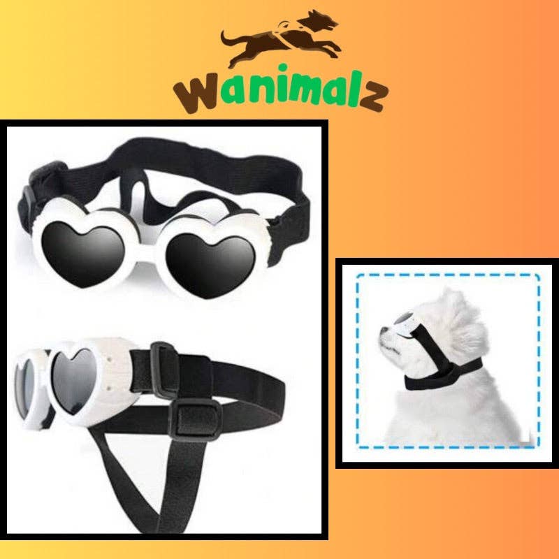 Wanimalz - Wholesale  - Dog glasses | SUNDOG range8