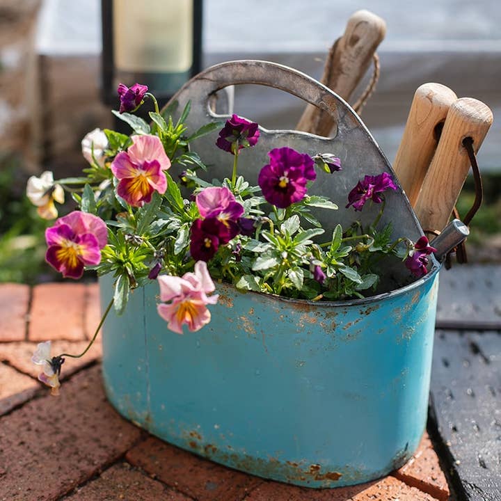 Rustic Reach - Wholesale Garden Tool - Blue Metal Basket Tool Organizer Flower Garden