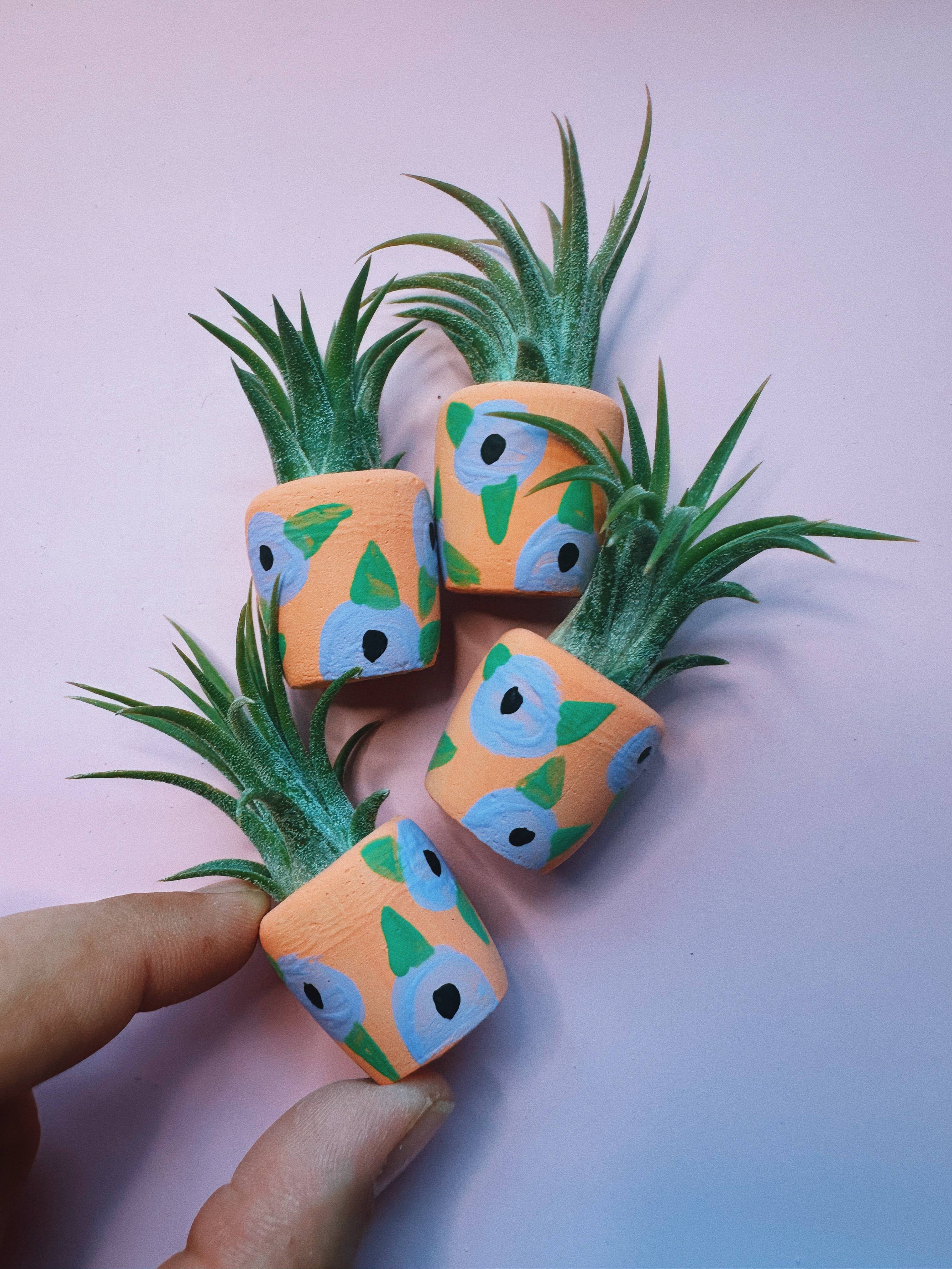 O'Berry's Succulents - Wholesale Plant Pot - Petunia Mini Planter