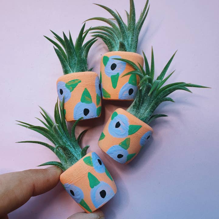 O'Berry's Succulents - Wholesale Plant Pot - Petunia Mini Planter0