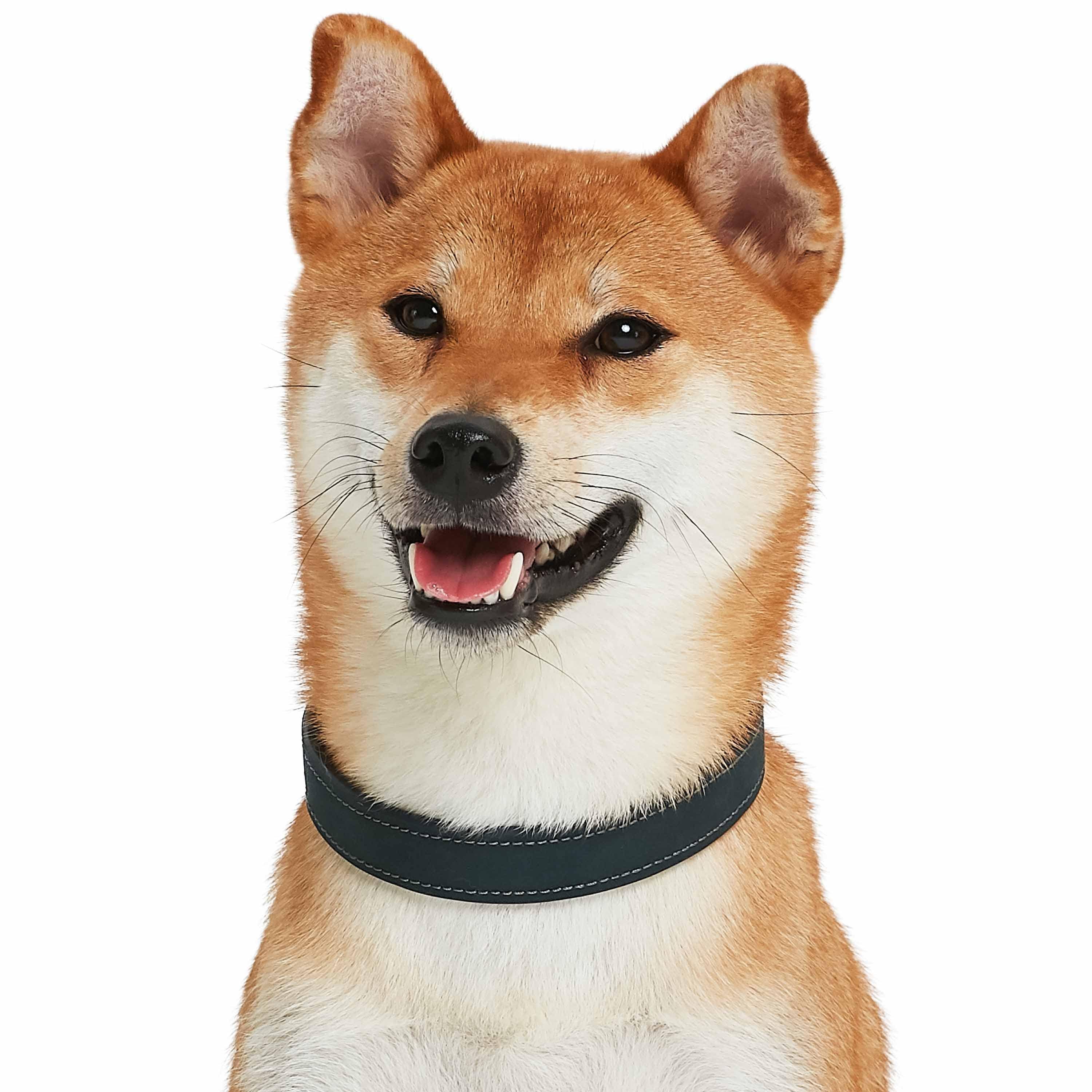 Navy Blue Full Grain Leather Dog Collar for wholesale on Faire4