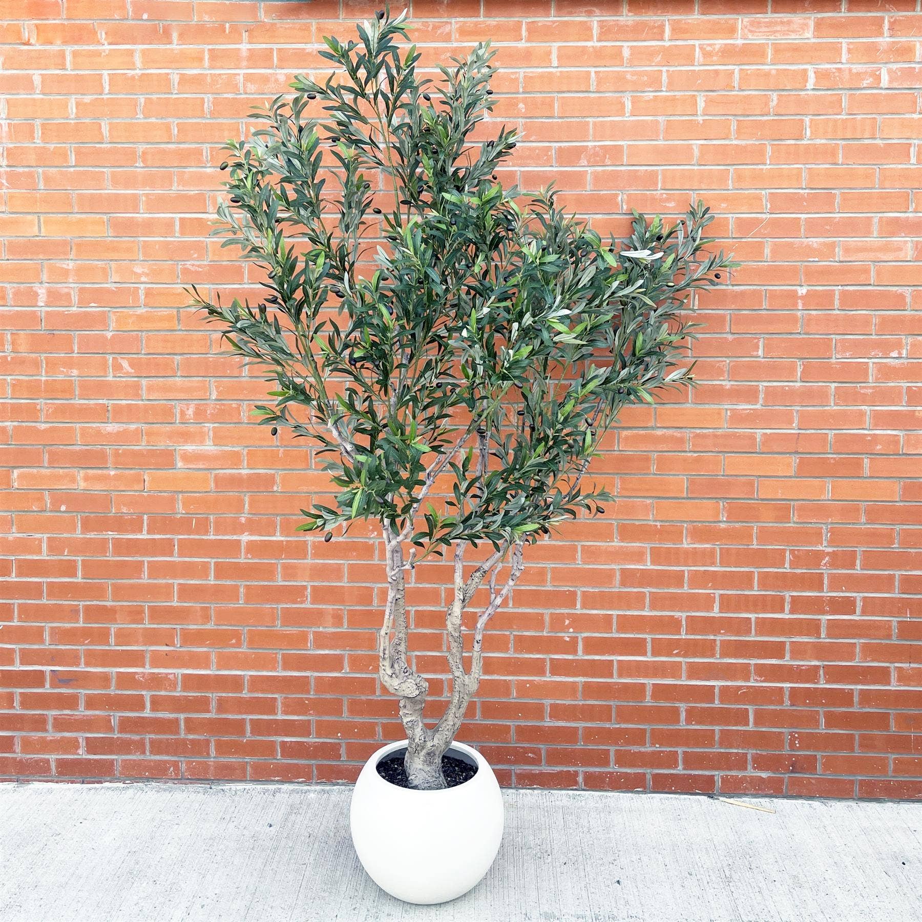 Leaf Design UK LTD - Wholesale Artificial plant - 250cm XXL Olive Tree6