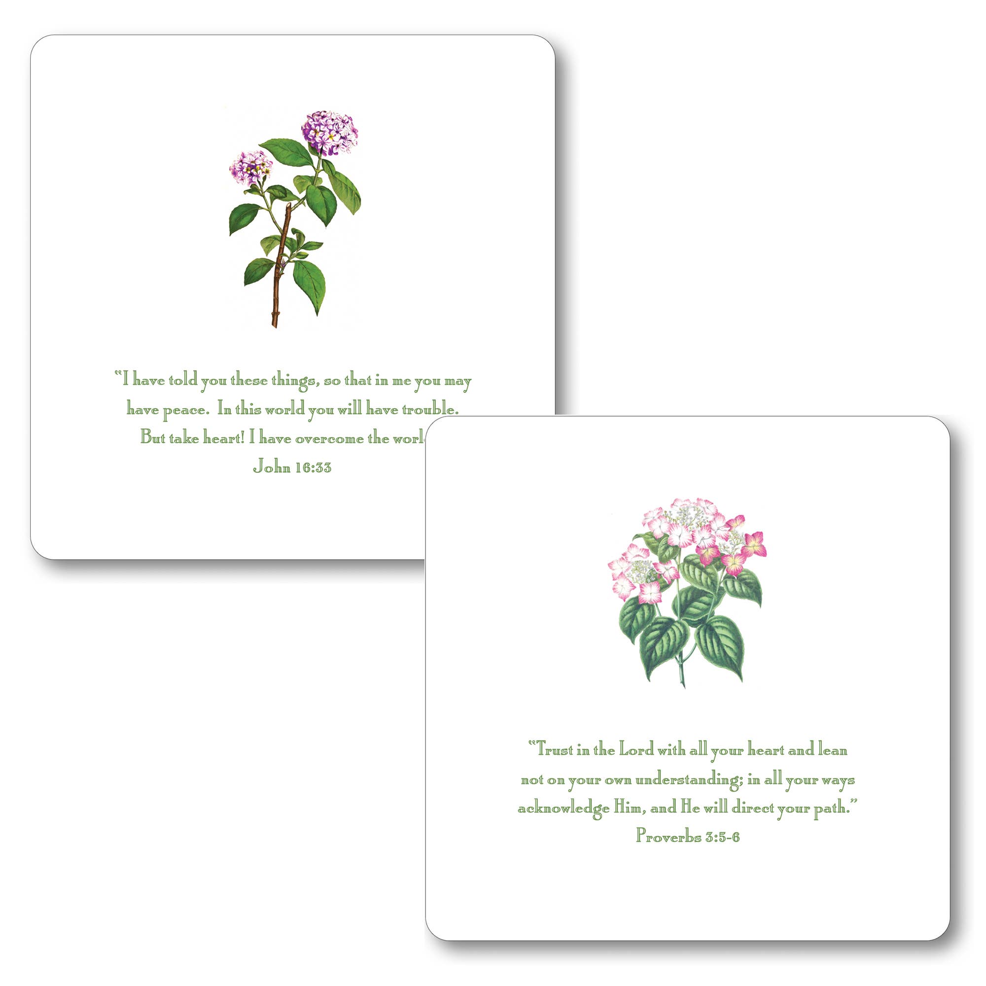 Maison de Papier - Wholesale Advent Calendar - VCO025999 Hydrangea Quote Set 5.5"8