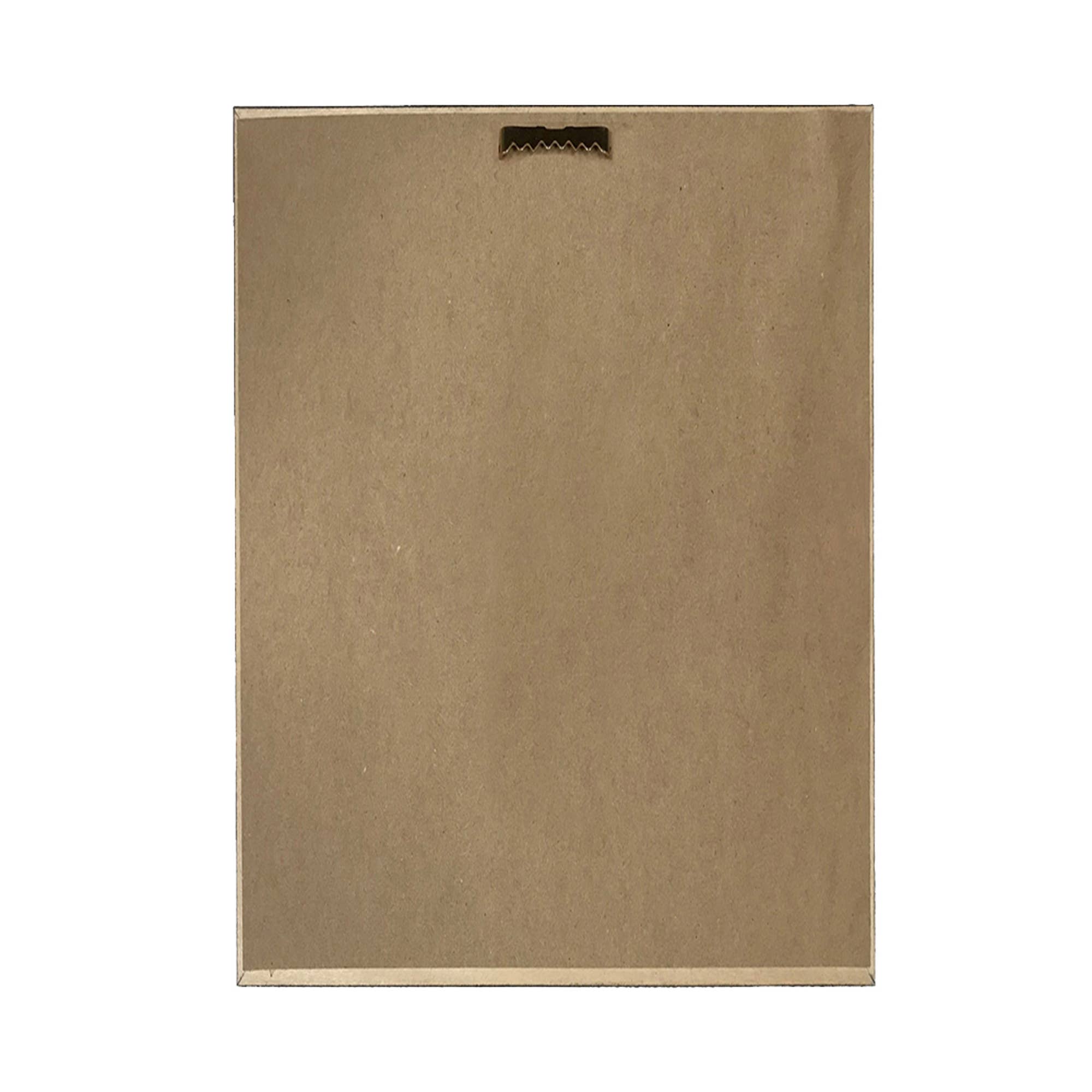 Madison Bay Co. - Historical Home Decor Reproductions - Vendita all'ingrosso Stampa artistica - Corteccia d'Inverno Stampa Botanica Vintage Invernale7