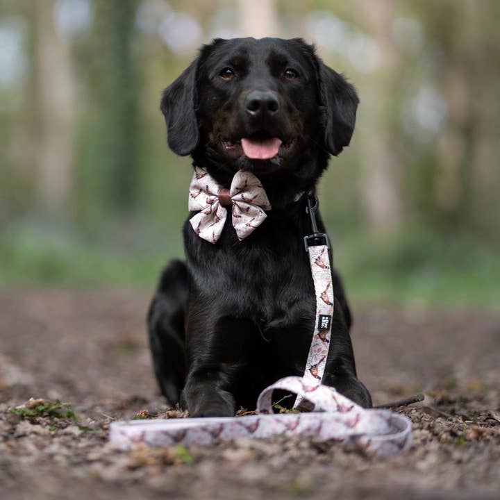 The aDoraBle Pooch Company – wholesale Pet bow tie – Dog – Dog Sailor Bow Tie - Farmland Pheasant11