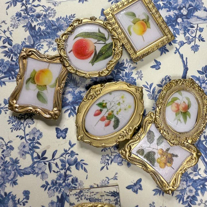 Art in your Palm - Wholesale Magnet - Fruit Botanical Magnets (Set of 4)3