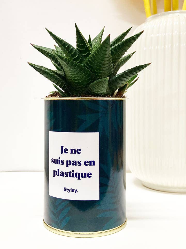 Eu Não Sou de Plástico - Cacto por atacado de Styley