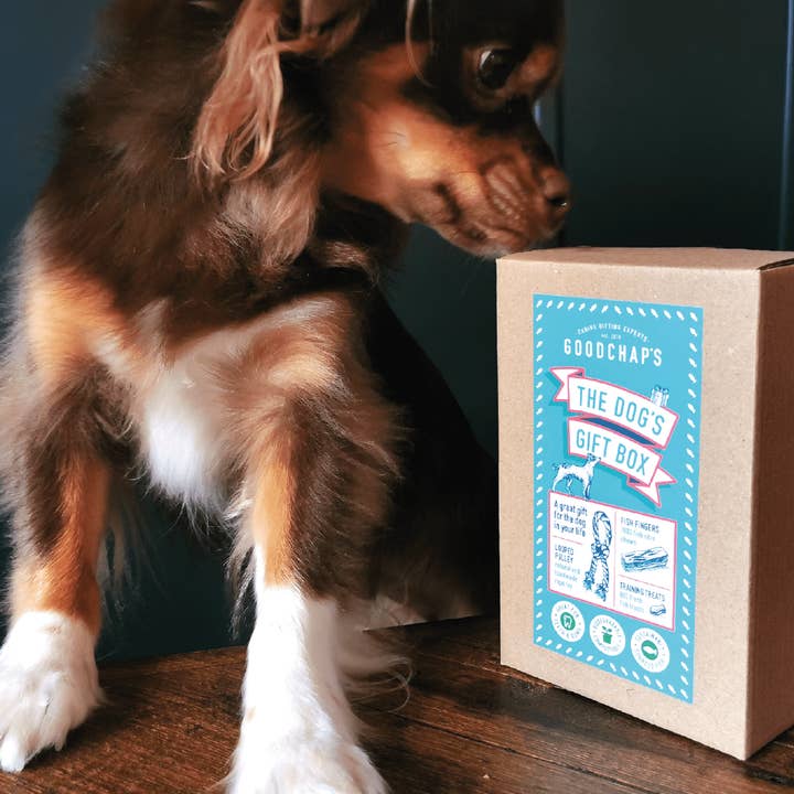 Goodchap's – wholesale Pet treats – Dog – The Dog's Gift Box | Gifting for Dogs | Treats, Chews & Toys