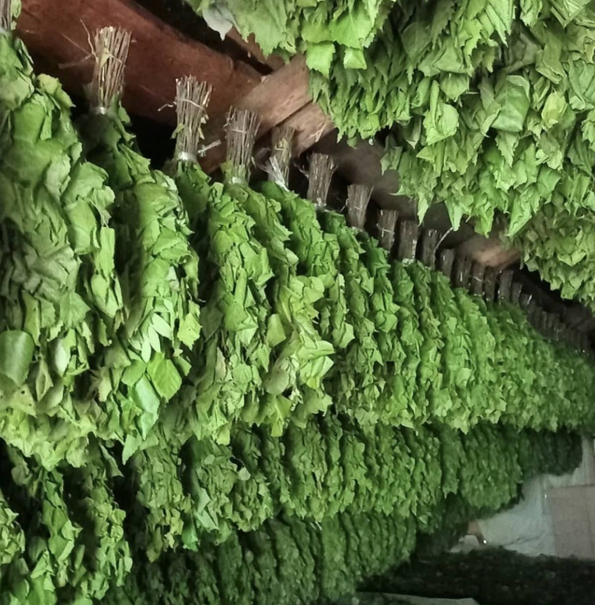 SUNROZ – wholesale Kroppsmassage – 4-pack ukrainska bastukvastar för massage och SPA12