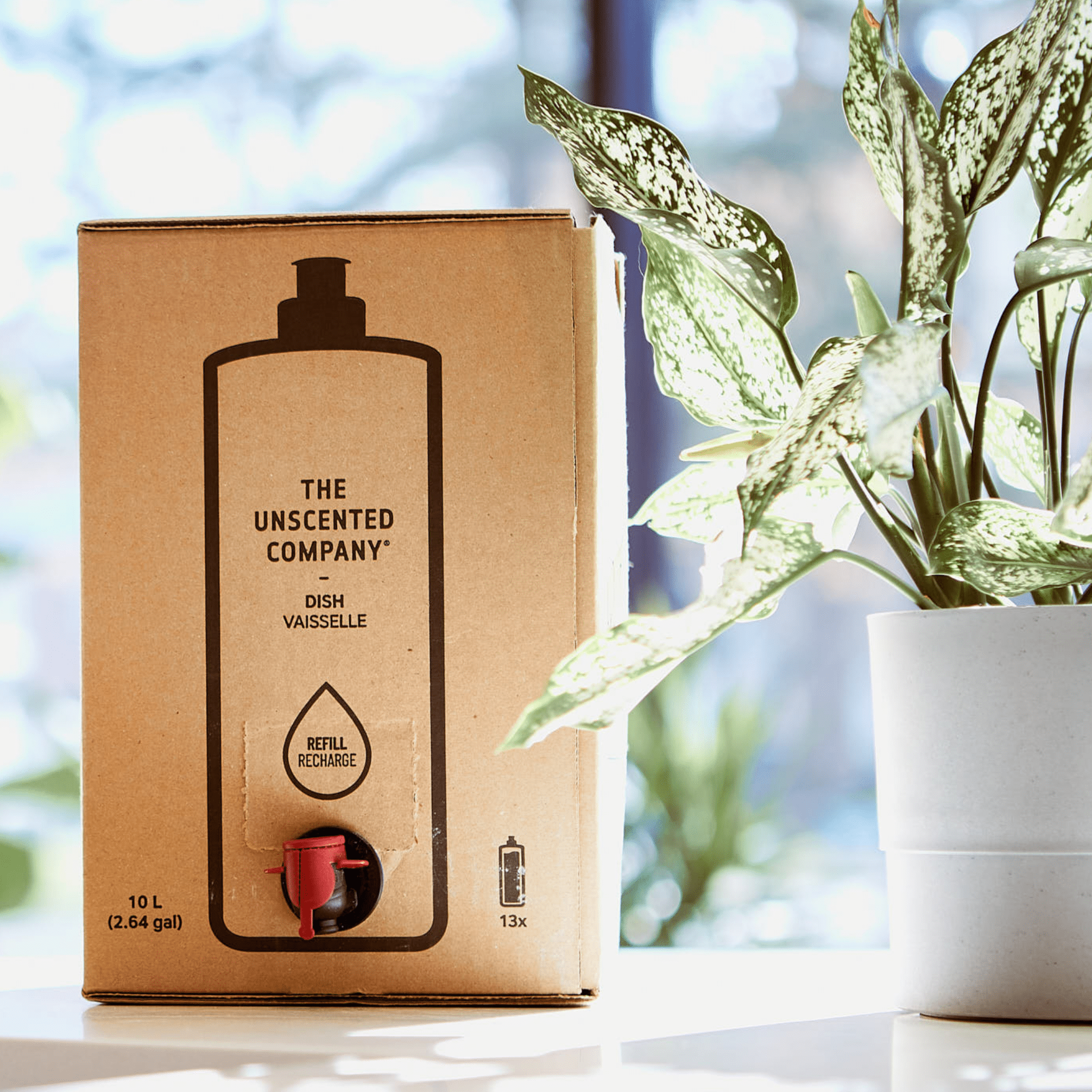 The Unscented Company - Vente Produit vaisselle - Plat - Boîte de recharge de 10 L1