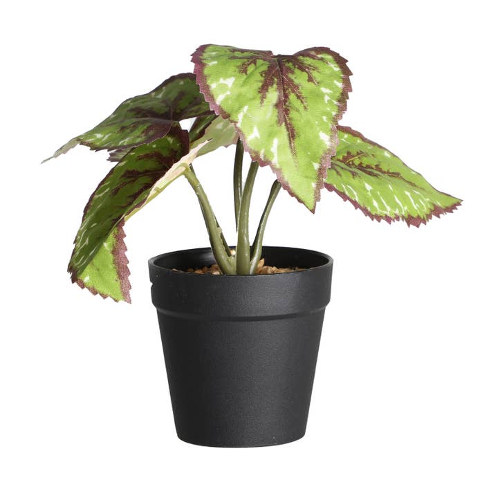 B&B - Wholesale Plant Pot - Plant, Plastic, Green Color, 22X22X19cm