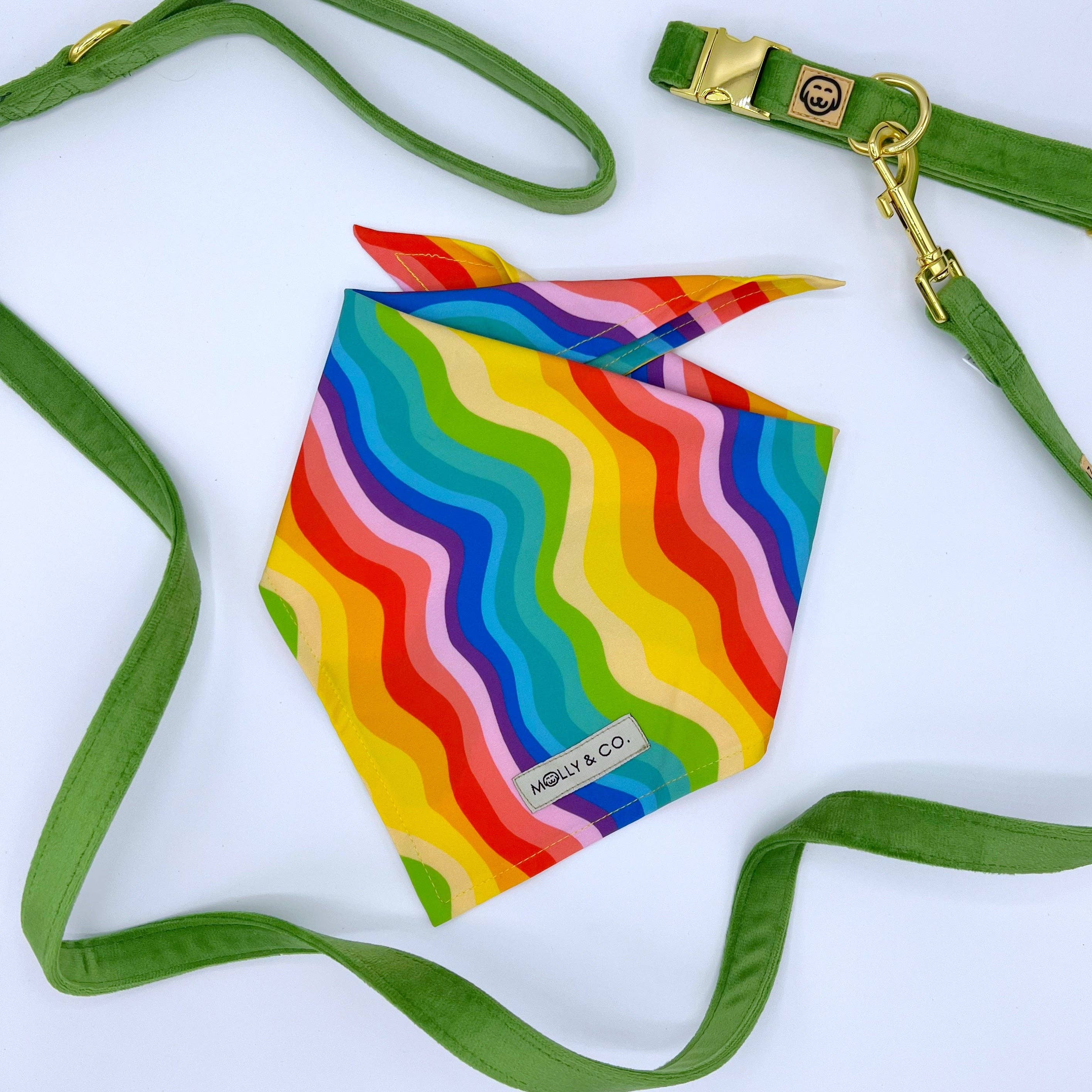 Molly & Co. – wholesale Pet bandana – Dog – Love is Love - Bandana4