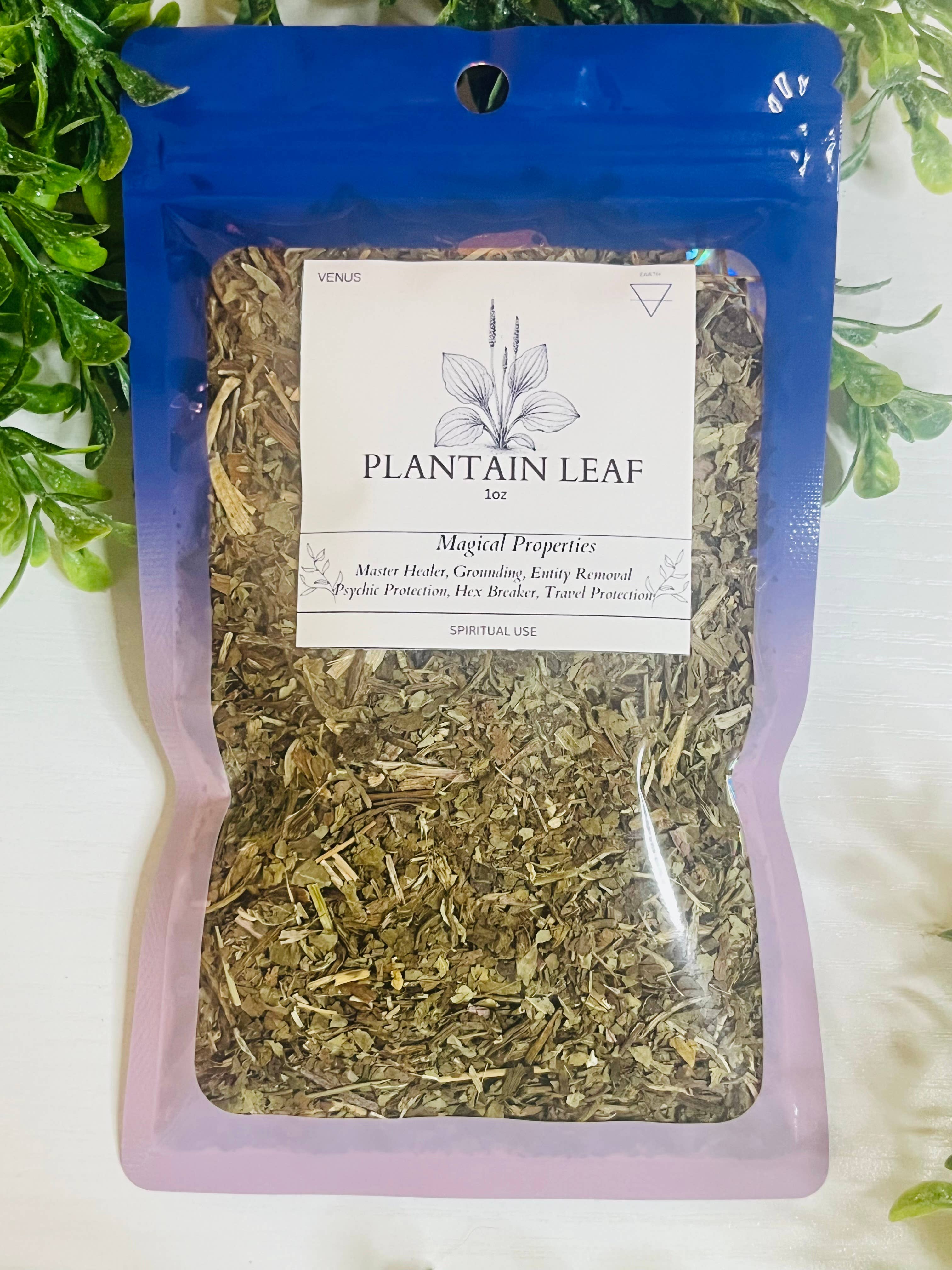 Moonsence - Wholesale Herbs - Plantain Leaf- 1oz Herb