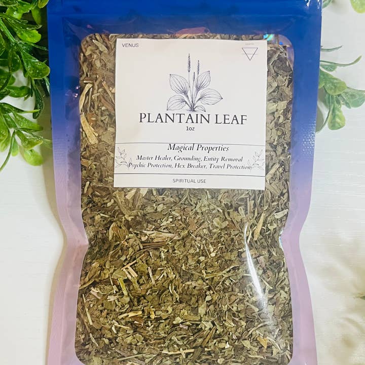 Moonsence - Wholesale Herbs - Plantain Leaf- 1oz Herb 0
