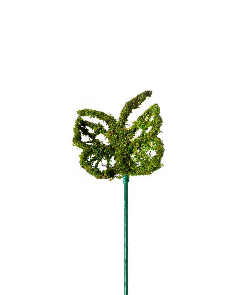 SuperMoss - Vente Piquets de jardin/pelouse - Monarch Moss Pick2