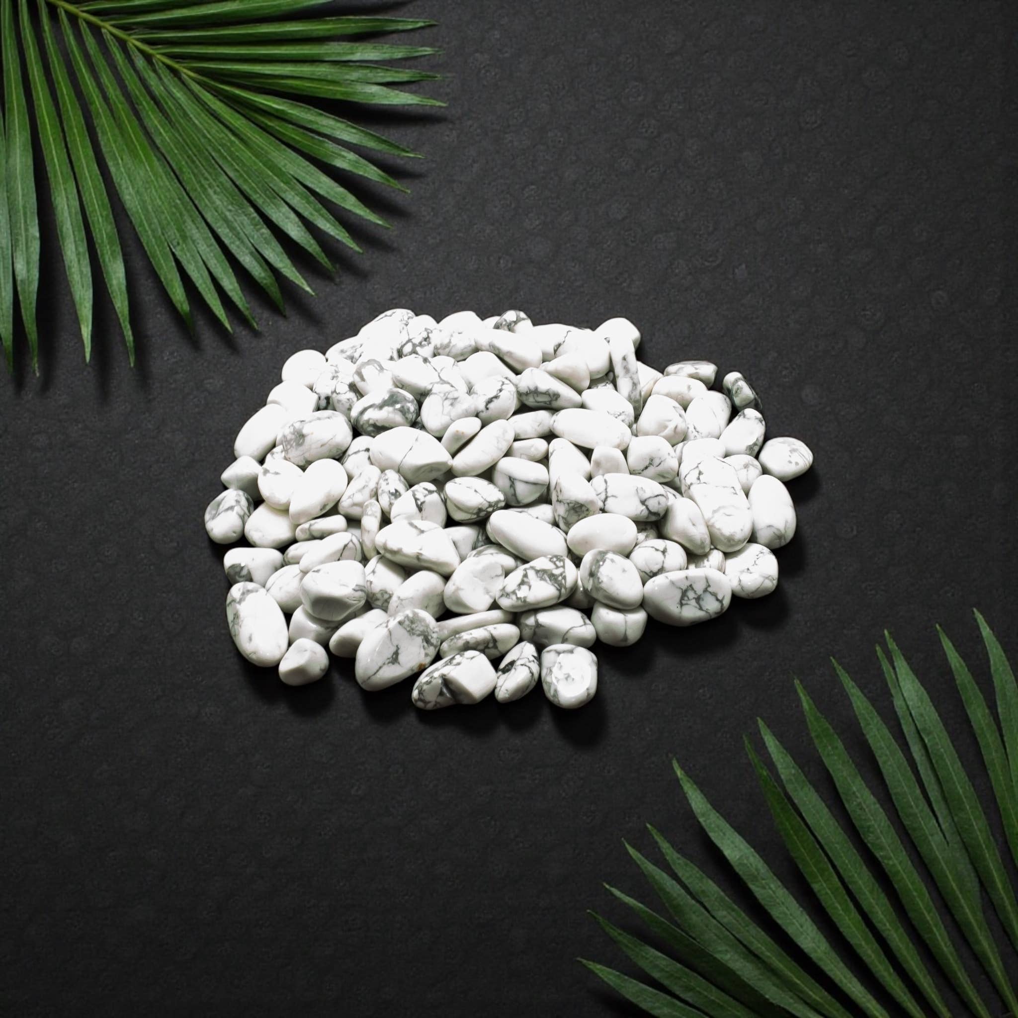 Quasar Gems USA - Vendita all'ingrosso Pietra/cristallo spirituale - Howlite Bianca Levigata 10-20mm 1KG/2.2lbs