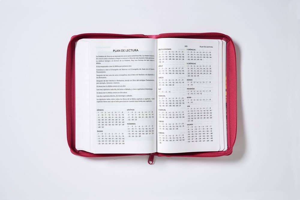 HarperCollins Christian Publishing - Wholesale Religion - RVR60, Santa Biblia, Tierra Santa, Ultrafina, Letra grande14