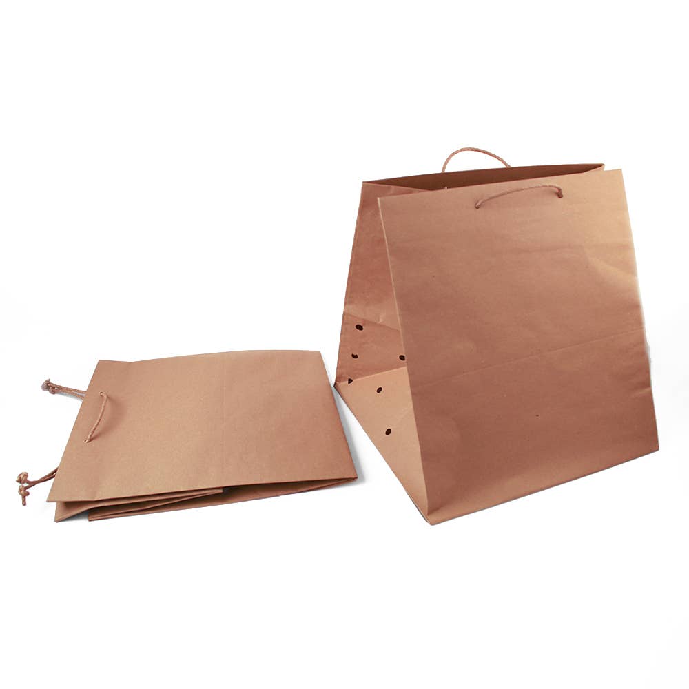 Havana Paper Bag Pizza Take Away Kraft Avana for wholesale on Faire3