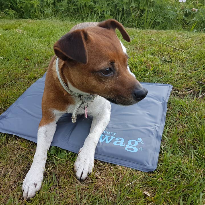 Henry Wag Pet Gel Cool Mat for wholesale by Henry Wag