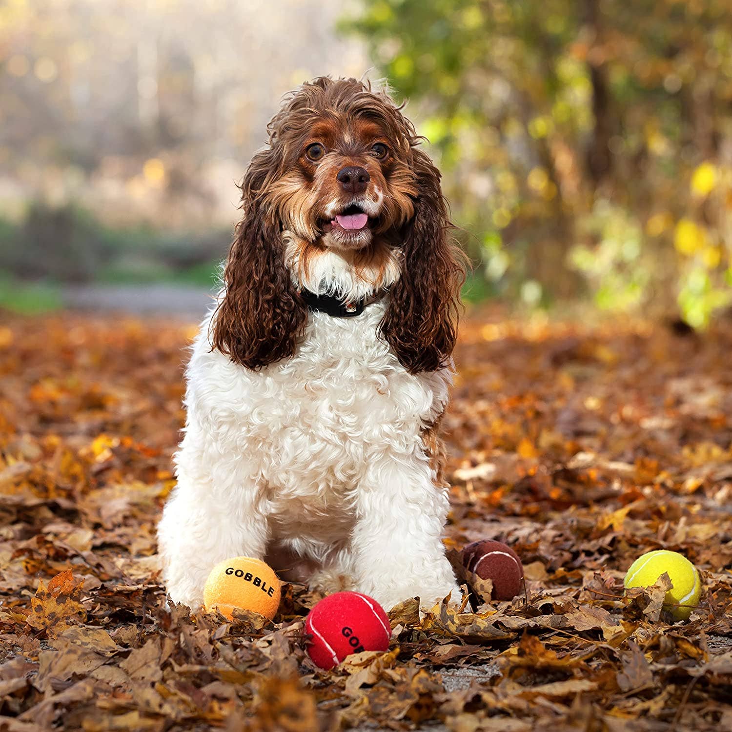 Midlee Designs - Wholesale Pet Fetch Ball - Dog - Thanksgiving Dog Tennis Balls1