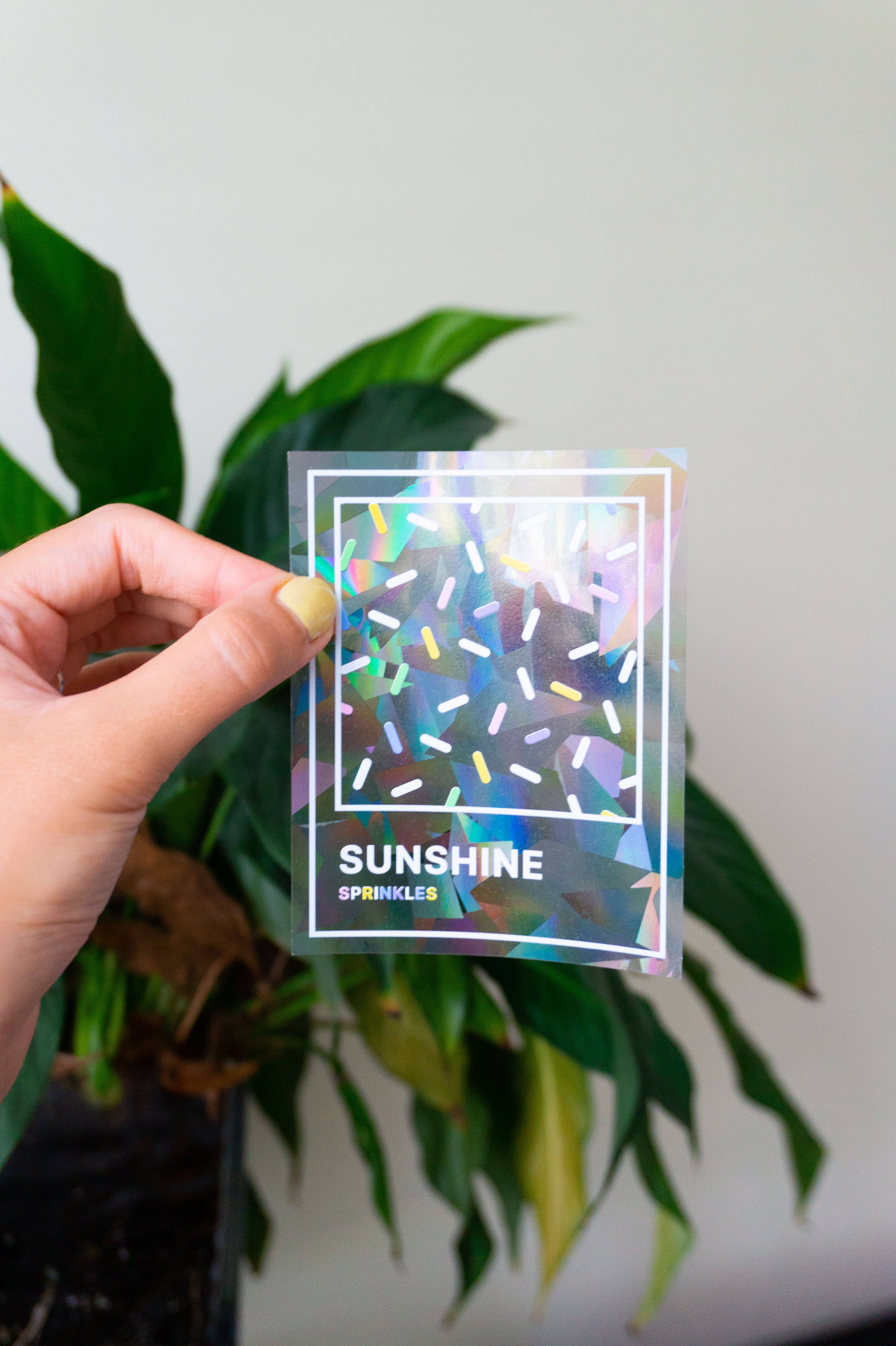 Creative Goodie - Vendita all'ingrosso Adesivo - Adesivo suncatcher arcobaleno, decalcomania per finestra7