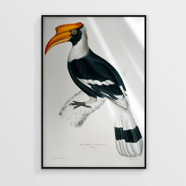 Vogel für den Großhandel von NC Design group