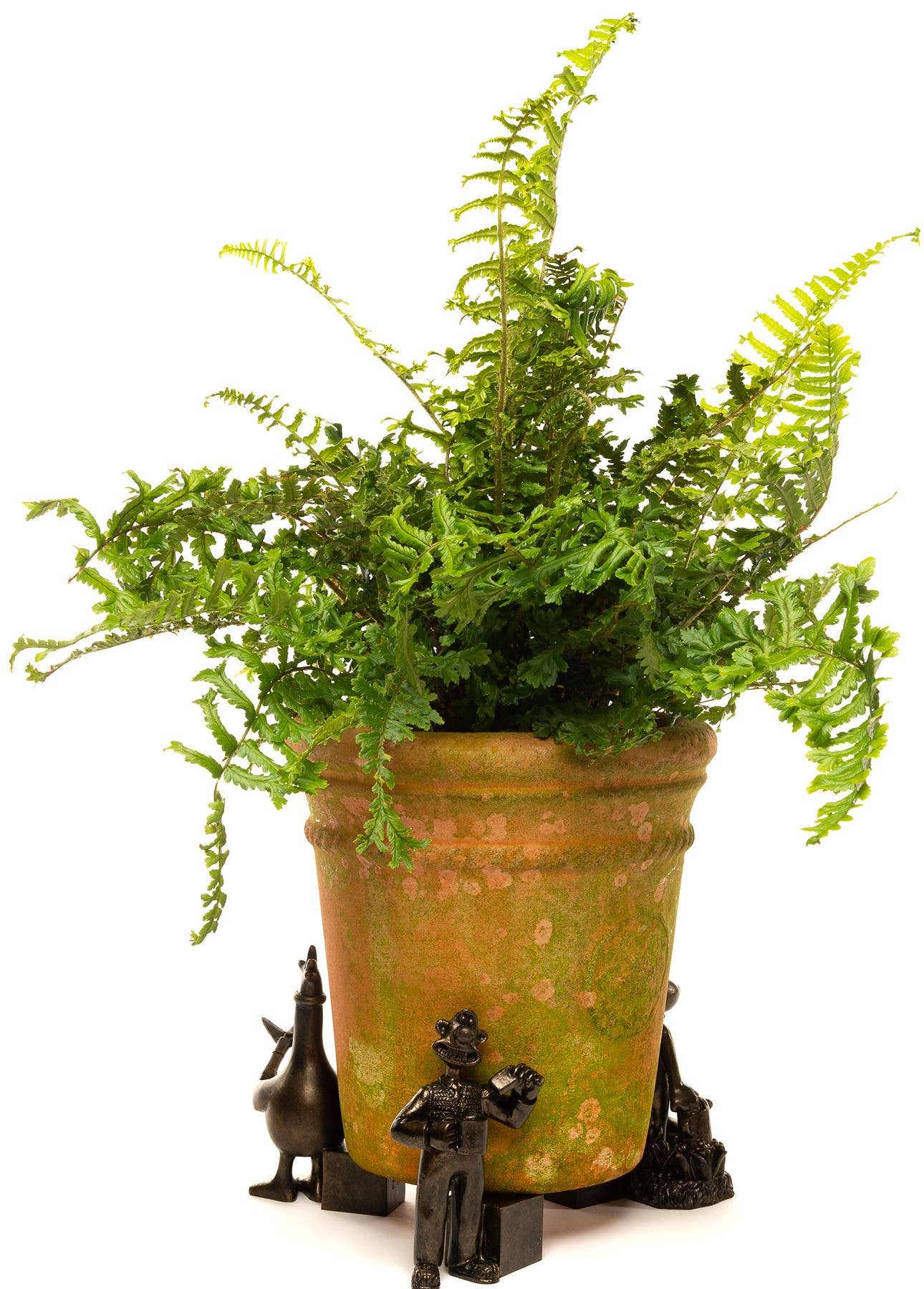 Jardinopia US - Wholesale Plant Pot - Wallace and Gromit Plant Pot Feet - Wallace, Gromit and Feathers Mcgraw2