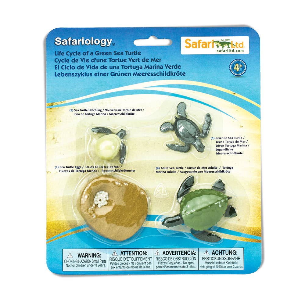 Safari Ltd. - Wholesale Figurine Toy - Kids - Life Cycle Of A Green Sea Turtle - 662316