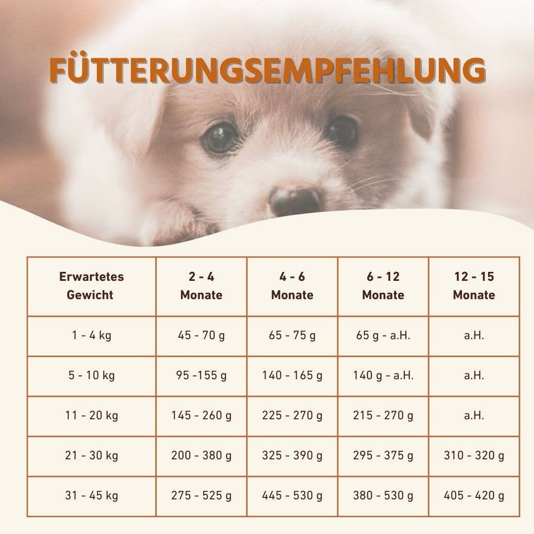 WILDFANG - Wholesale Voer - Hond - Grain-free puppyvoerpakket met kip4