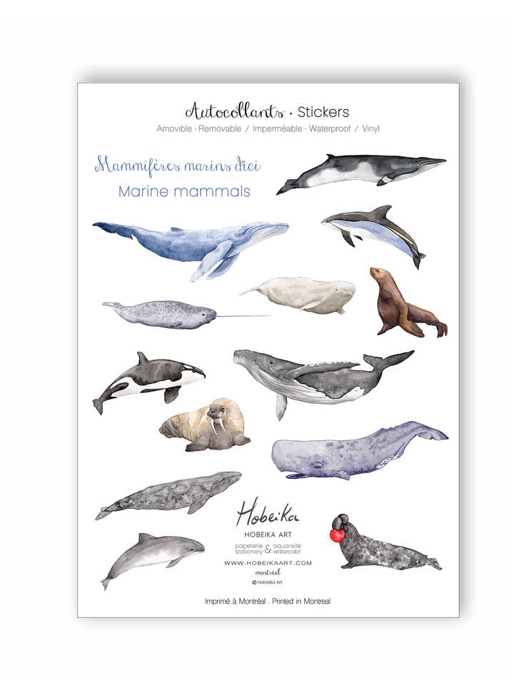 Mammifères marins, autocollants en vinyle pour la vente par Hobeika Art