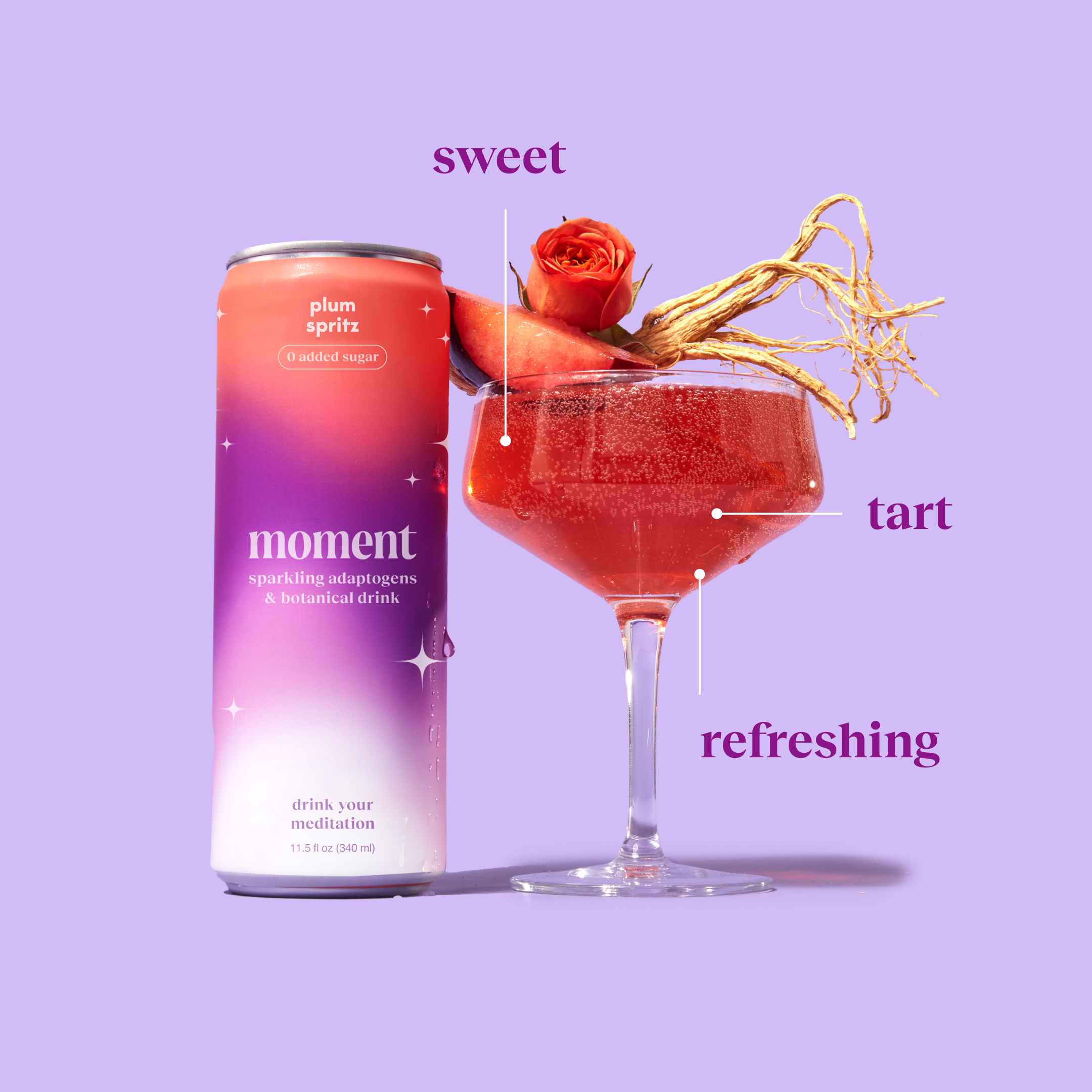 Moment - Wholesale Non-Alcoholic Aperitif/Mocktail - Sparkling Plumspritz 12-pack Botanical Water1