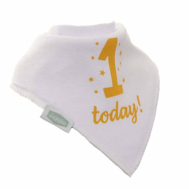 1 Today Bib for wholesale by Ziggle Baby