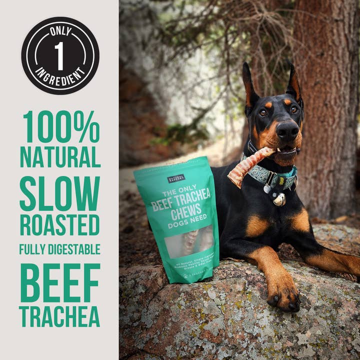 Natural Rapport - Wholesale Pet Treats - Dog - The Only Beef Trachea Chews Dogs Need