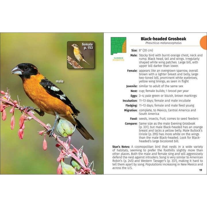 AdventureKEEN - Wholesale Nature Guide - Birds of New Mexico Field Guide 2e