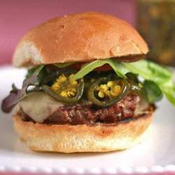 Campbell Gardens - Wholesale Pickled Vegetables - Candied Jalapeños6