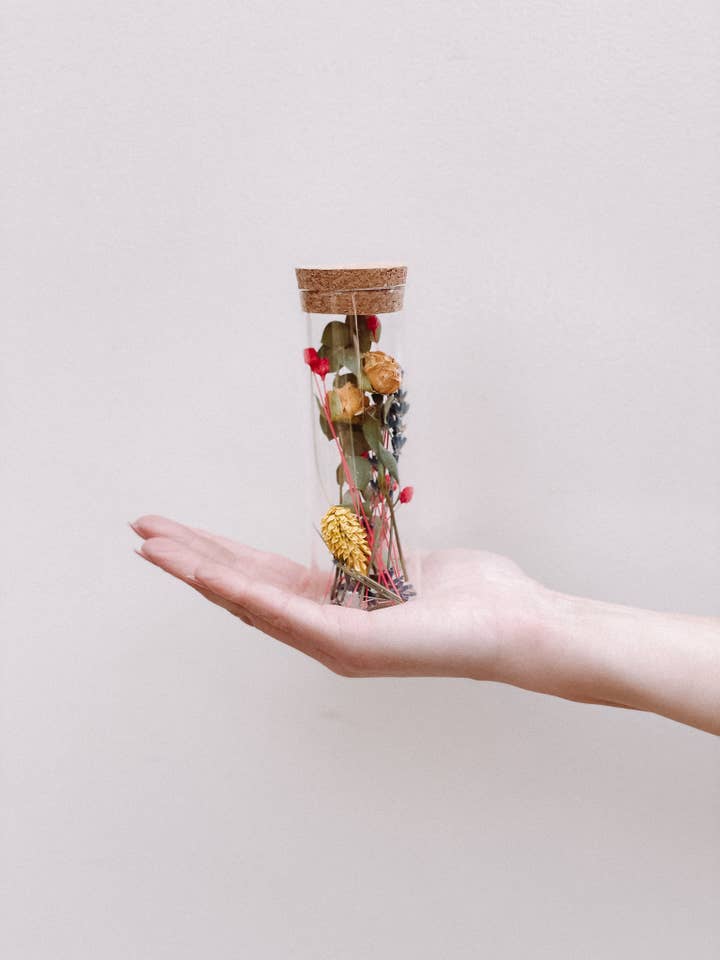 Cilinder per la vendita all'ingrosso da parte di Ratatouille Creative Studio