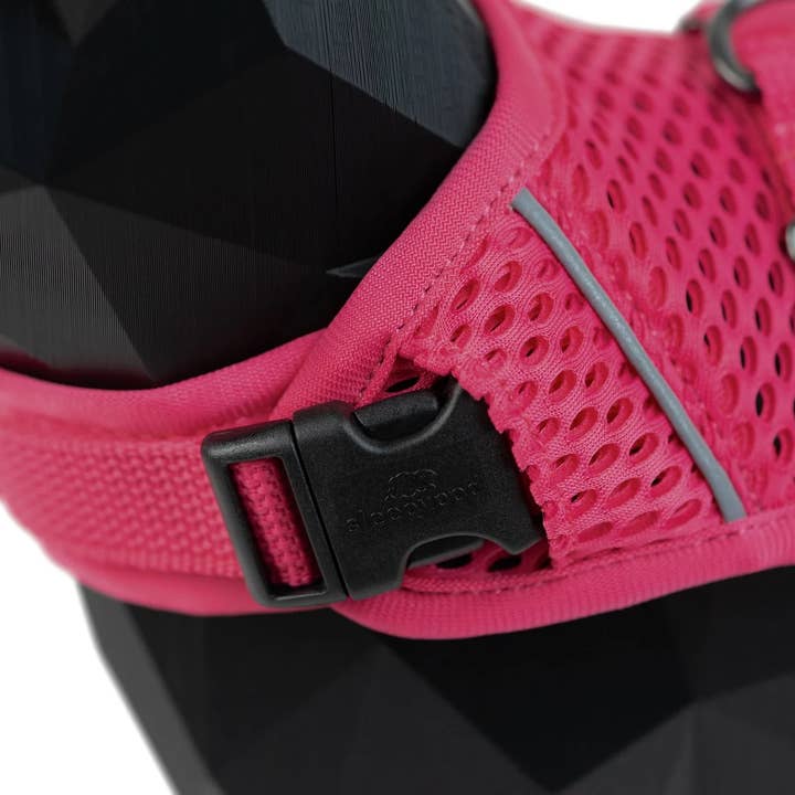 Sleepypod – Arnês – Gato por atacado – Coleira Peitoral Calmante com Martingale para Gato - Arnês para Passeio (Kit)3