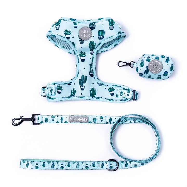 Cacti Guy Walkie Set for wholesale by Boho Pups