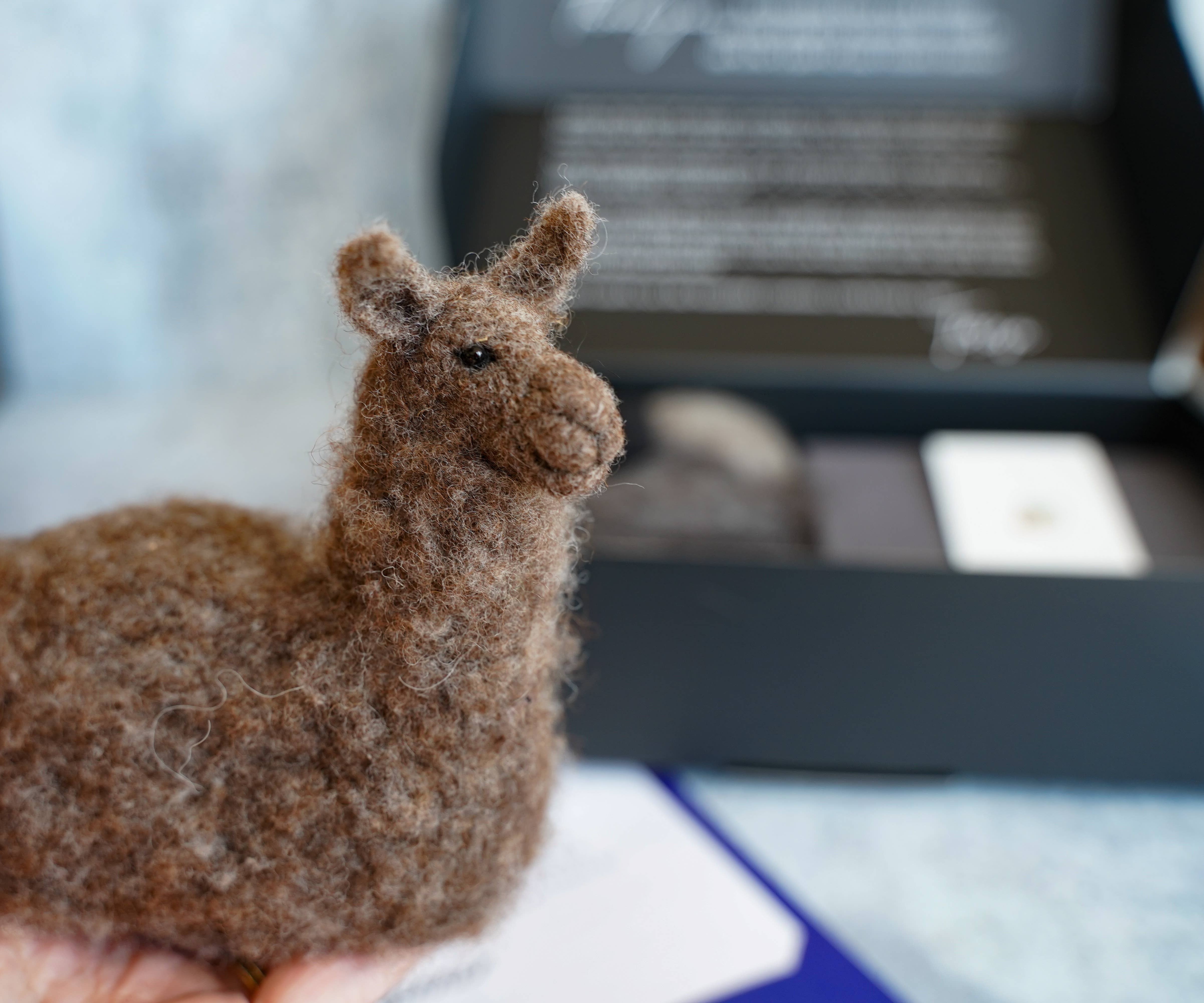 Bear Creek Felting - Vente Kits de couture - Kit de feutrage à l'aiguille Lama pour débutants2