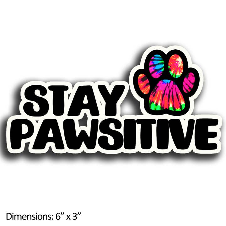Stay Pawsitive Magnet, Dogs Paw Print 6" Cute Car Magnet for wholesale by Hippie Hound Studios