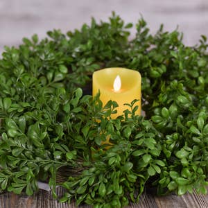 Preserved boxwood 2025 candle ring