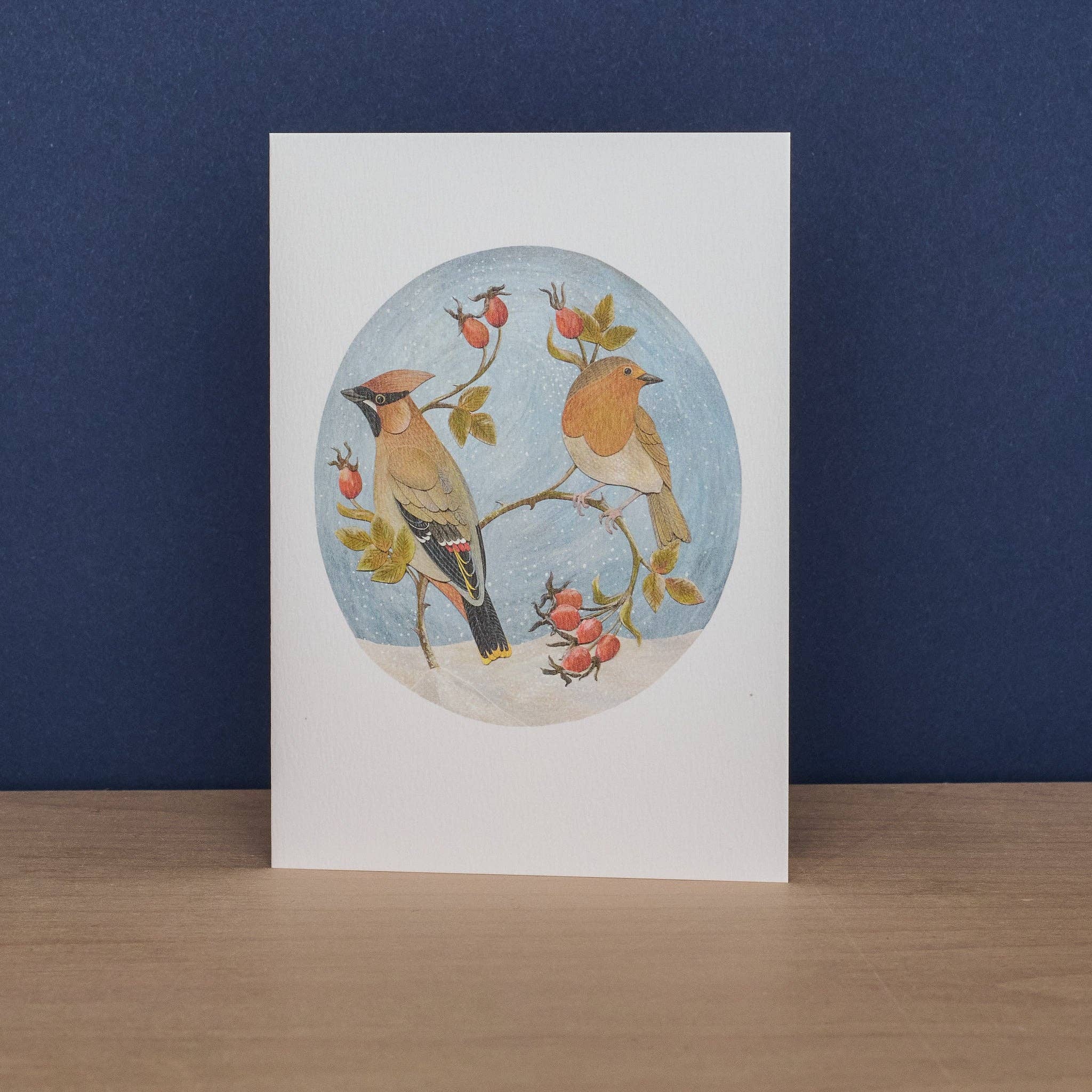 Art Angels - Wholesale Stationery/Notecard Set - Waxwing and Robin & Long-Tailed Tit and Blue Tit2