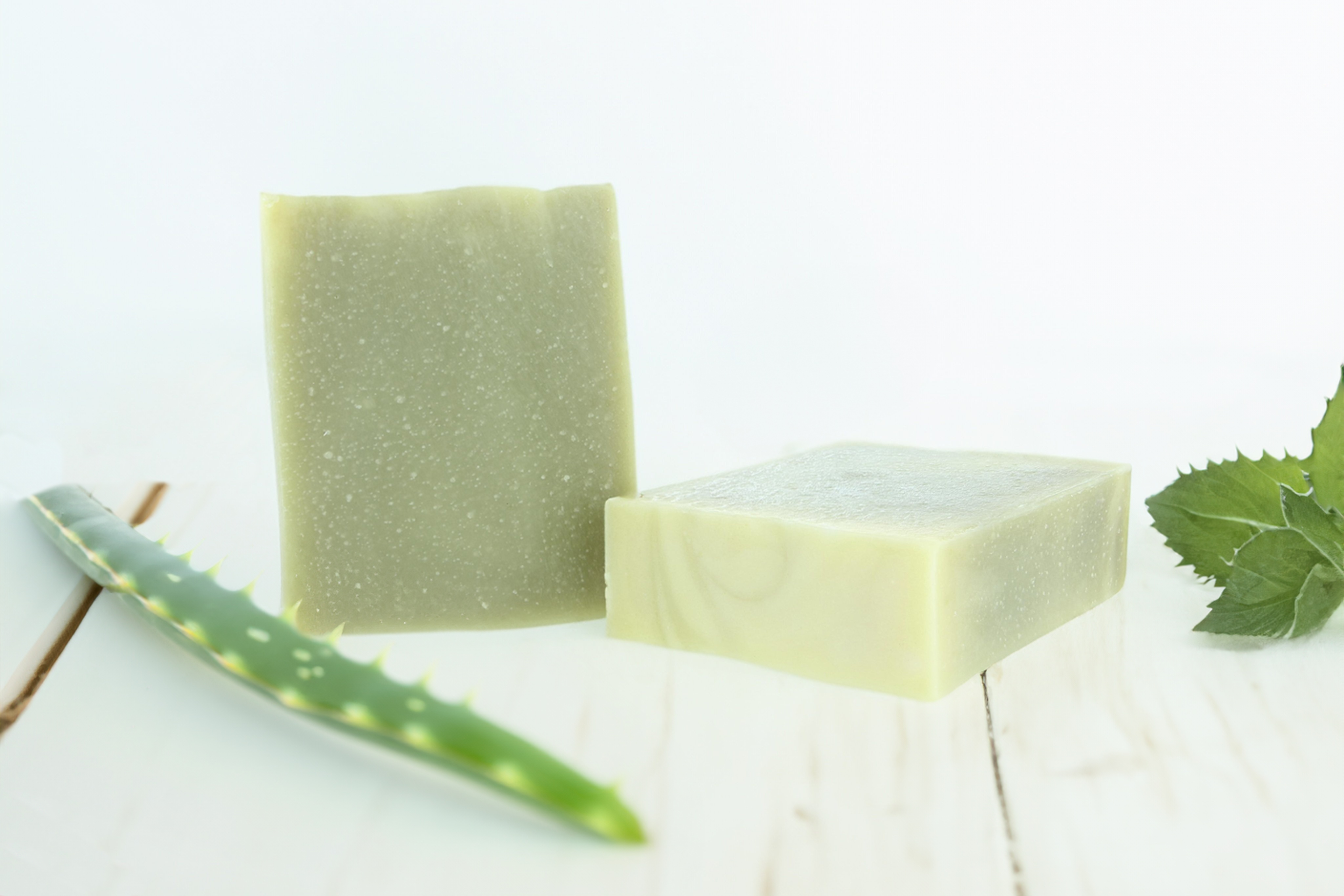 Four Ladies & Co. - Wholesale Bar Soap - Aloe Vera Mint Bar Soap | Made with Aloe Vera1