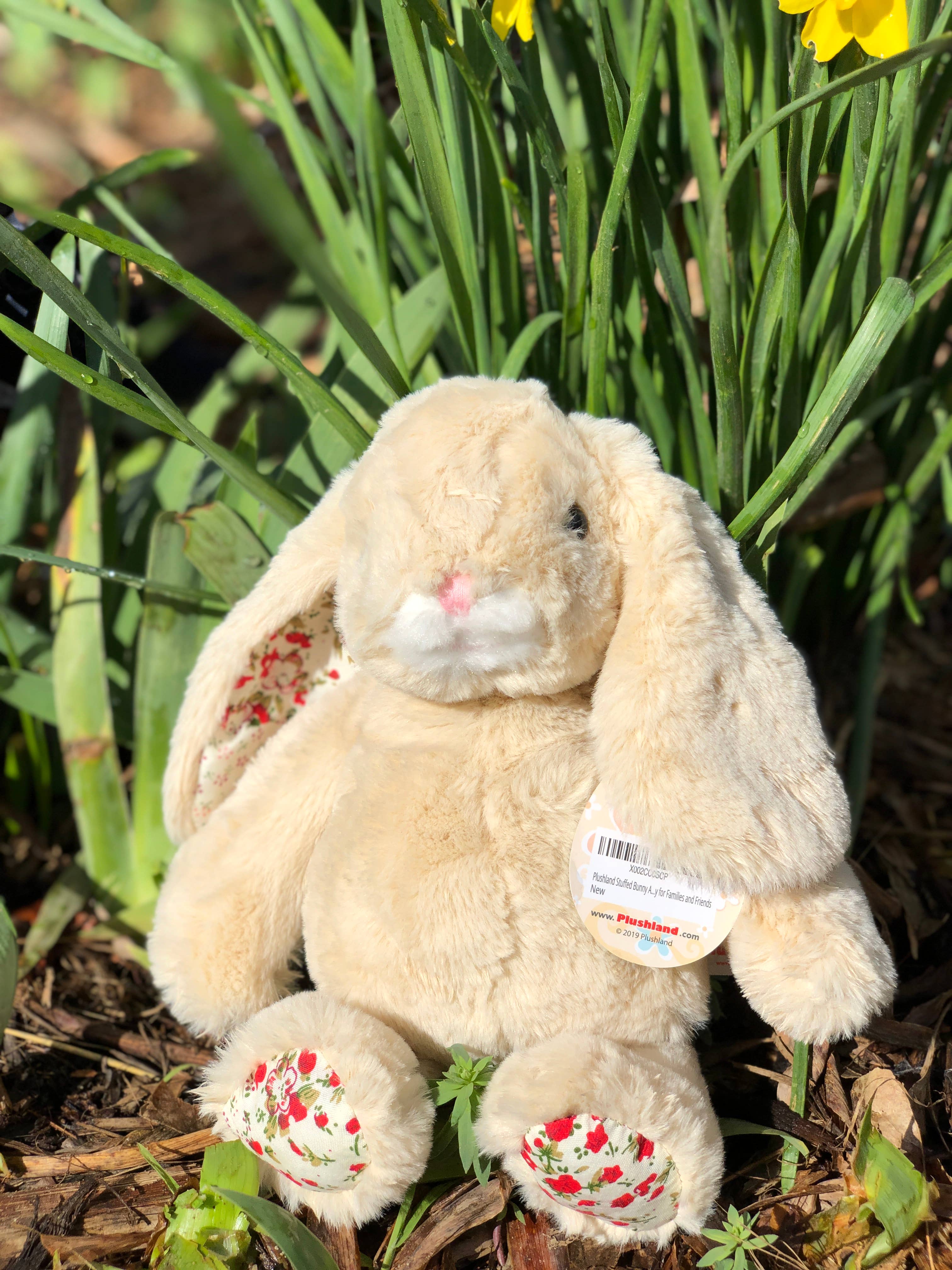 Plushland - Vendita all'ingrosso Peluche - Bambini e neonati - Peluches Coniglietto di Pasqua Bianco da 10″ | Animale di Peluche Coniglio2