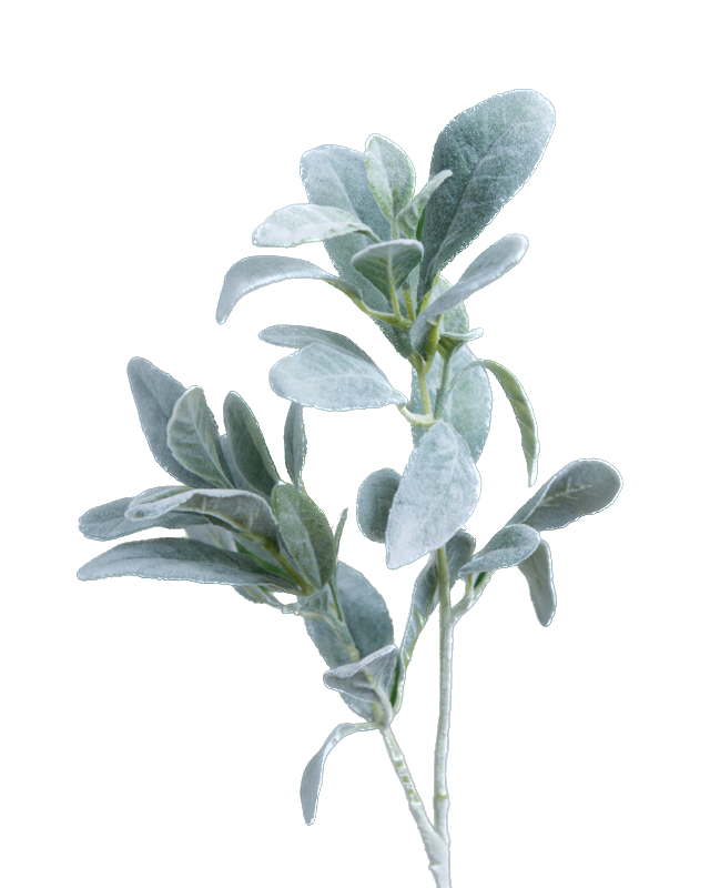 Mezu Silk Flowers - Wholesale Artificial Flowers - Artificial Lambs Ears2