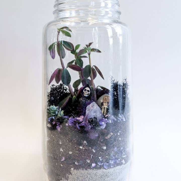 The Plant Supply - Wholesale DIY Craft Kit - Halloween DIY Terrarium | Fall Plant Craft Kit1