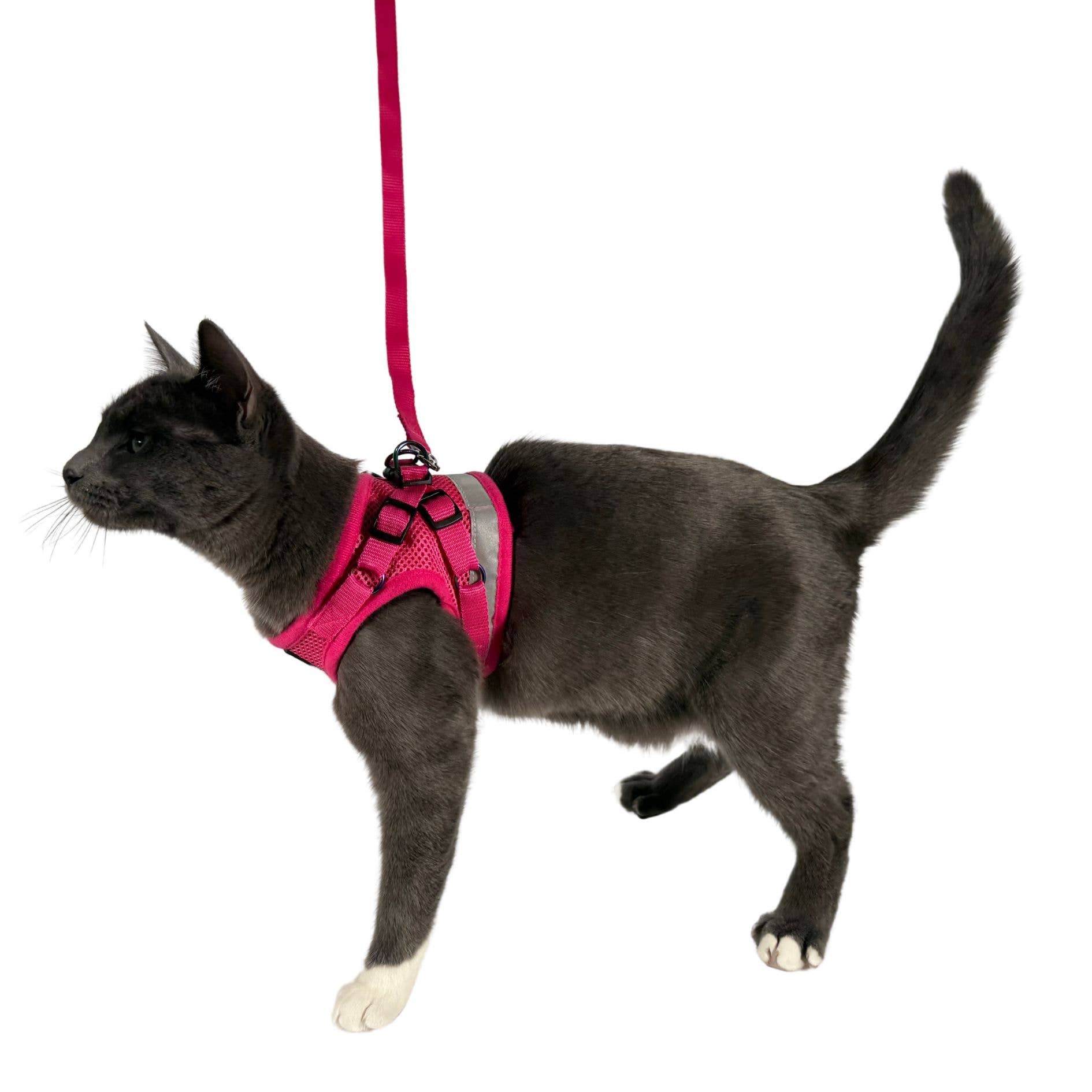 Travel Cat Wholesale - Wholesale Pet Harness - Cat - "The Purrfectly Pink" Iridescent Harness & Leash Set5