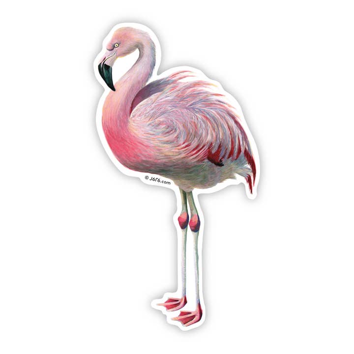 Adhesivo de vinilo Flamingo para venta al por mayor de J6R6